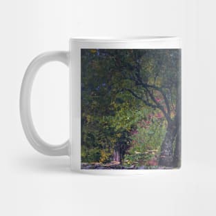 Relections at Alfred Nicholas Memorial Gardens Mug